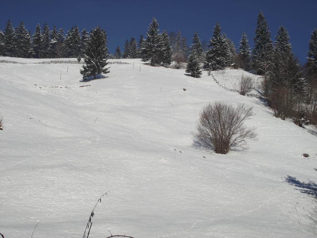 Cabana Piatra Runcului Vatra Moldoviţei Exterior foto