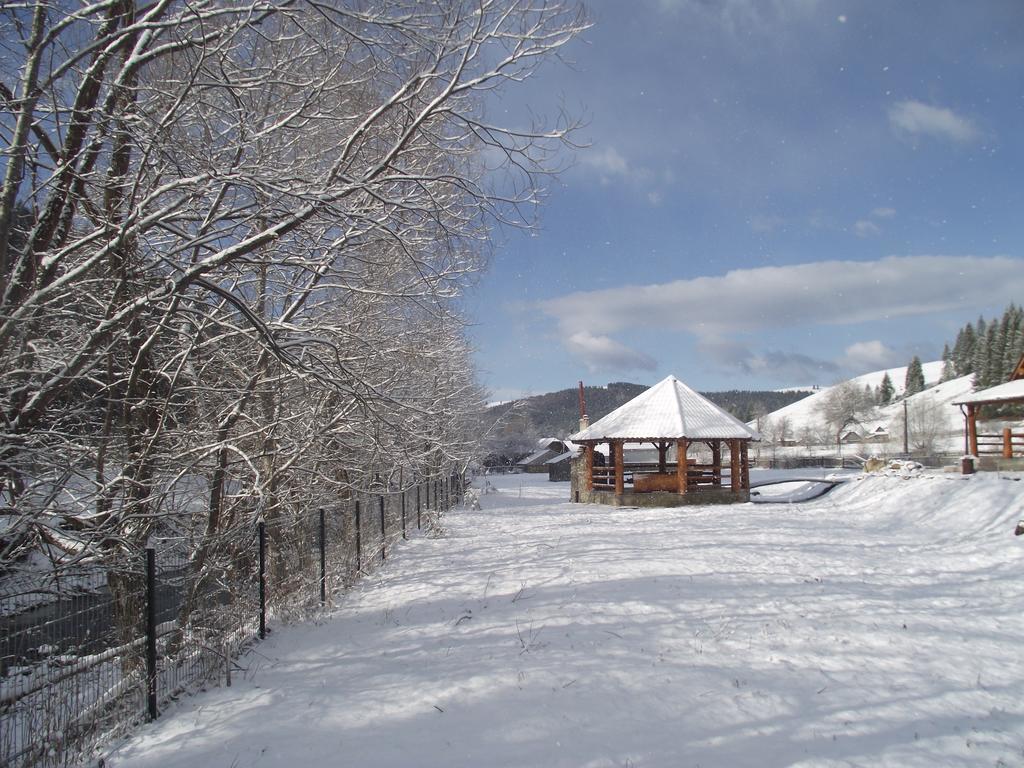 Cabana Piatra Runcului Vatra Moldoviţei Exterior foto