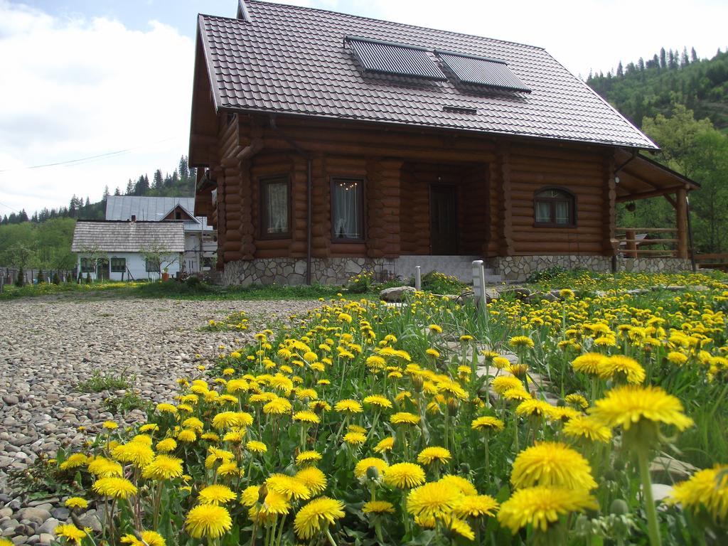 Cabana Piatra Runcului Vatra Moldoviţei Exterior foto