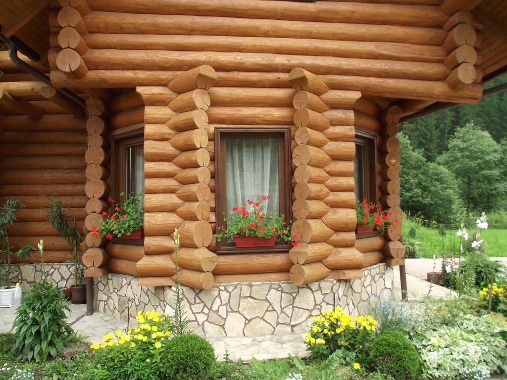 Cabana Piatra Runcului Vatra Moldoviţei Exterior foto