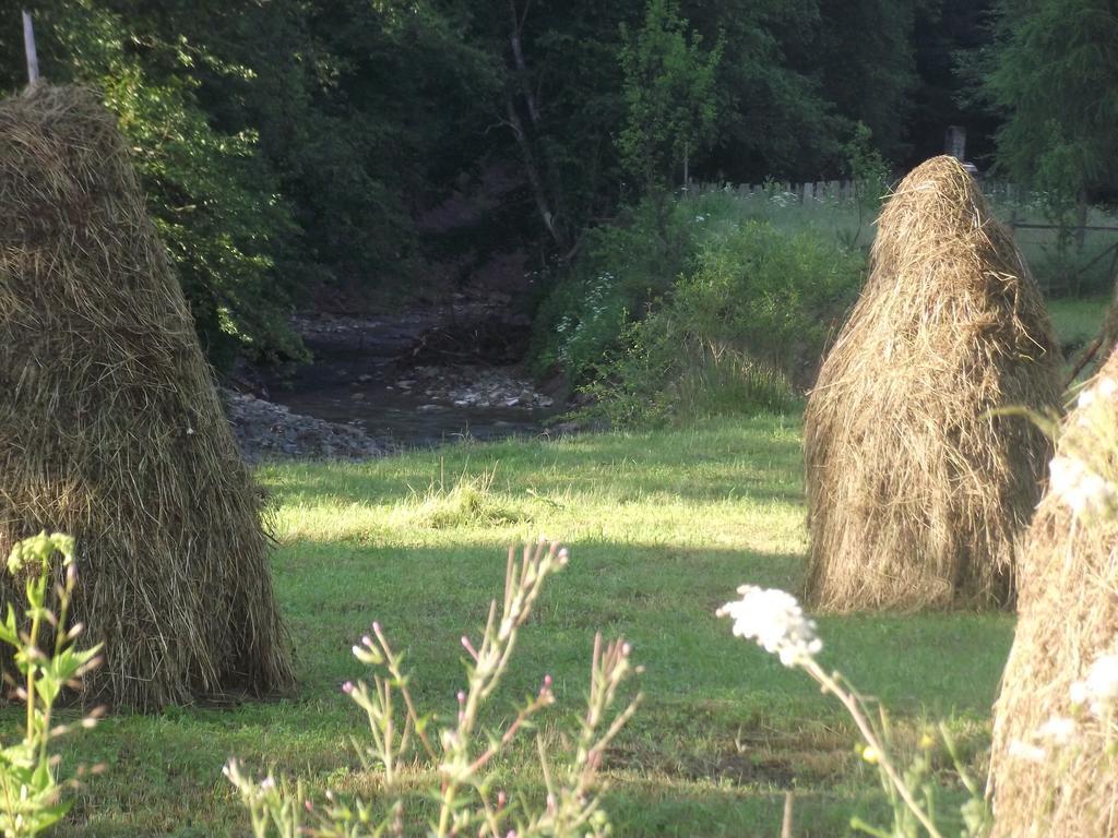 Cabana Piatra Runcului Vatra Moldoviţei Exterior foto
