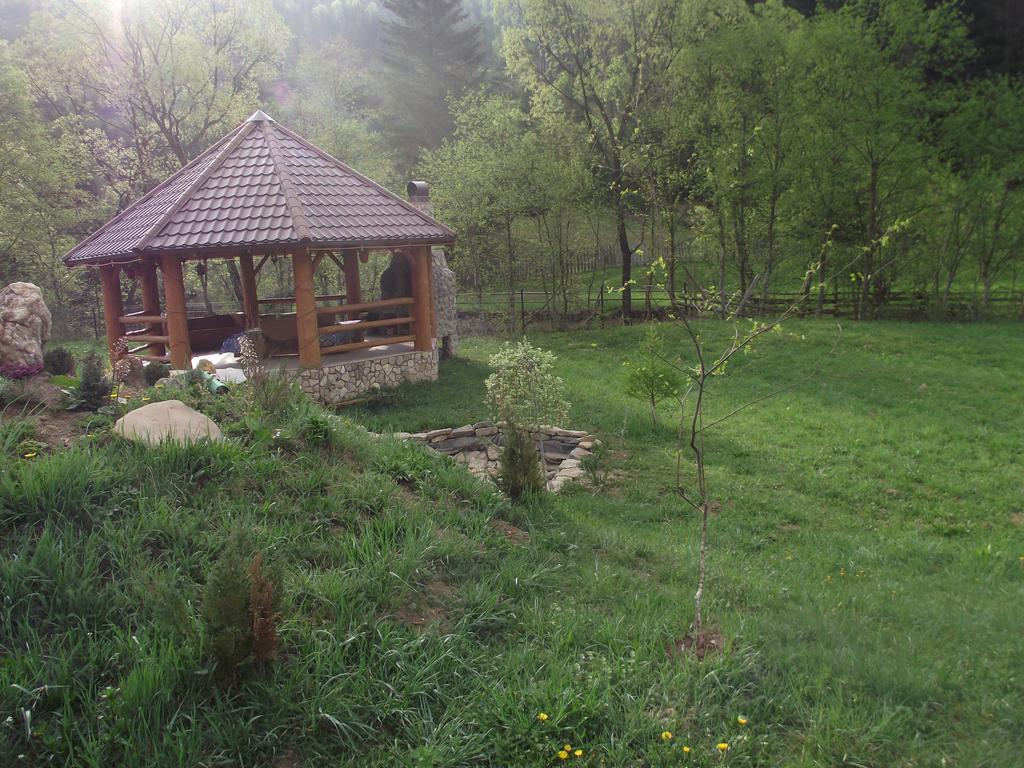 Cabana Piatra Runcului Vatra Moldoviţei Exterior foto